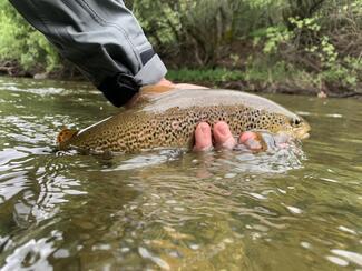 pêche mouche Asturies