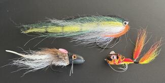 streamers brochet