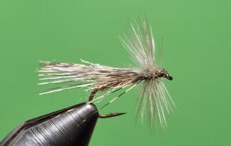 AERO DRY SEDGE