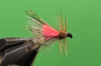 HOT SPOT CADDIS