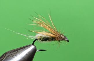 SPARKLE CADDIS