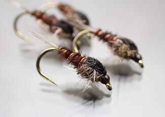 nymphe pheasant tail