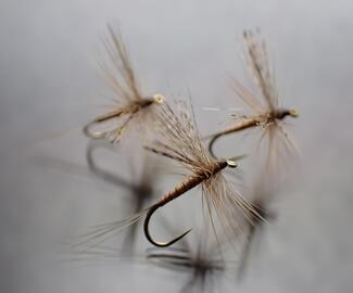 MARCH BROWN SPINNER