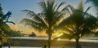 Mar Y Bosques