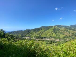 Mar Y Bosques