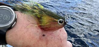 pêche brochet Suède