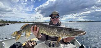 pêche brochet Suède
