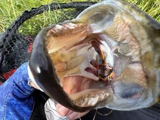pêche brochet cercle polaire