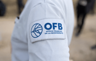 OFB