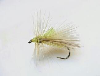 porteur sèche nymphe