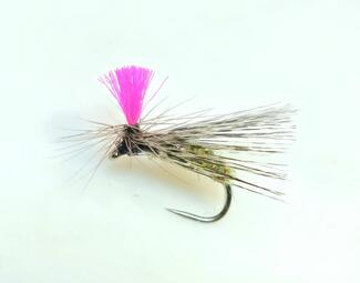 green bacon caddis