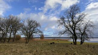 Rugen