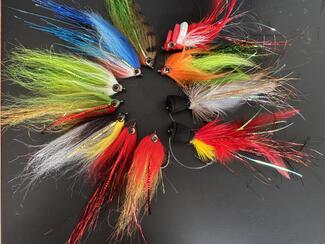 peacocks Pasimoni