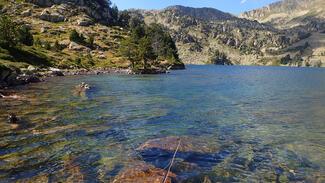 pêche truite Espagne