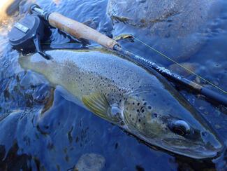 pêche nymphe au fil