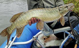 pêche brochet Dordogne