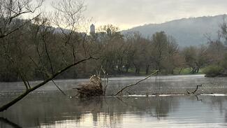 pêche Brochet Dordogne