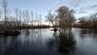 pêche Brochet Dordogne