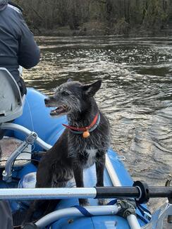 pêche brochet Dordogne