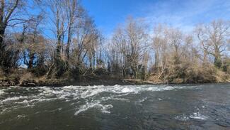 pêche grosse truite