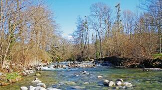 pêche truite Pyrénées