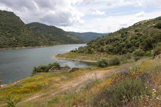 pêche black bass Portugal