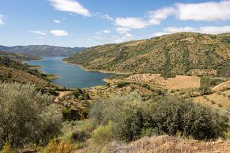 pêche black bass Portugal