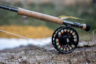 pêche black bass Portugal