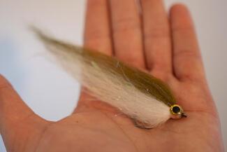 pêche black bass Portugal