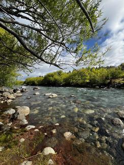 pêche truite Patagonie
