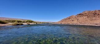 pêche truite Patagonie