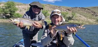 pêche truite Patagonie