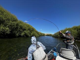 pêche truite Patagonie