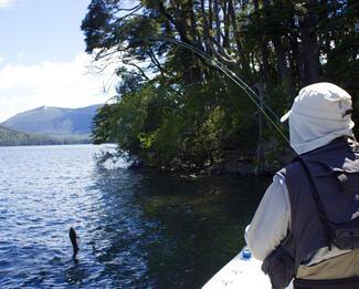pêche truite Patagonie