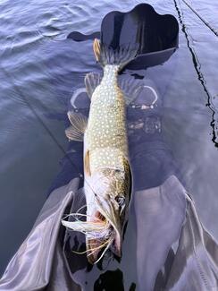 pêche mouche float tube