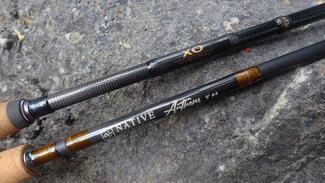 test canne mouche
