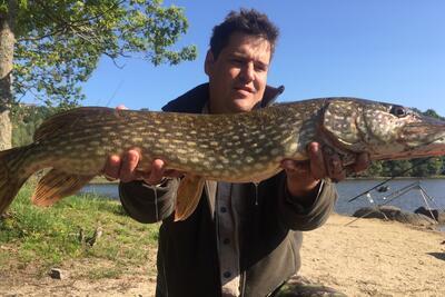 Découverte de la pêche à la carpe en stalking